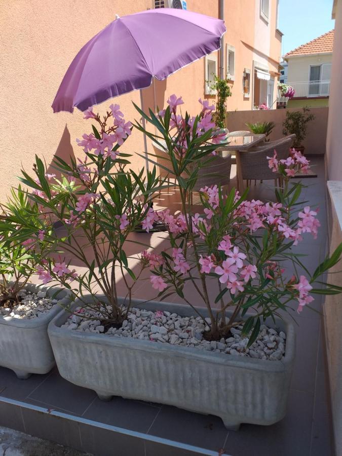 Apartment Yelena Rose West