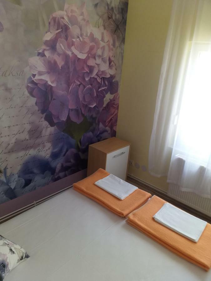 Yelena Rose West Apartment Zadar