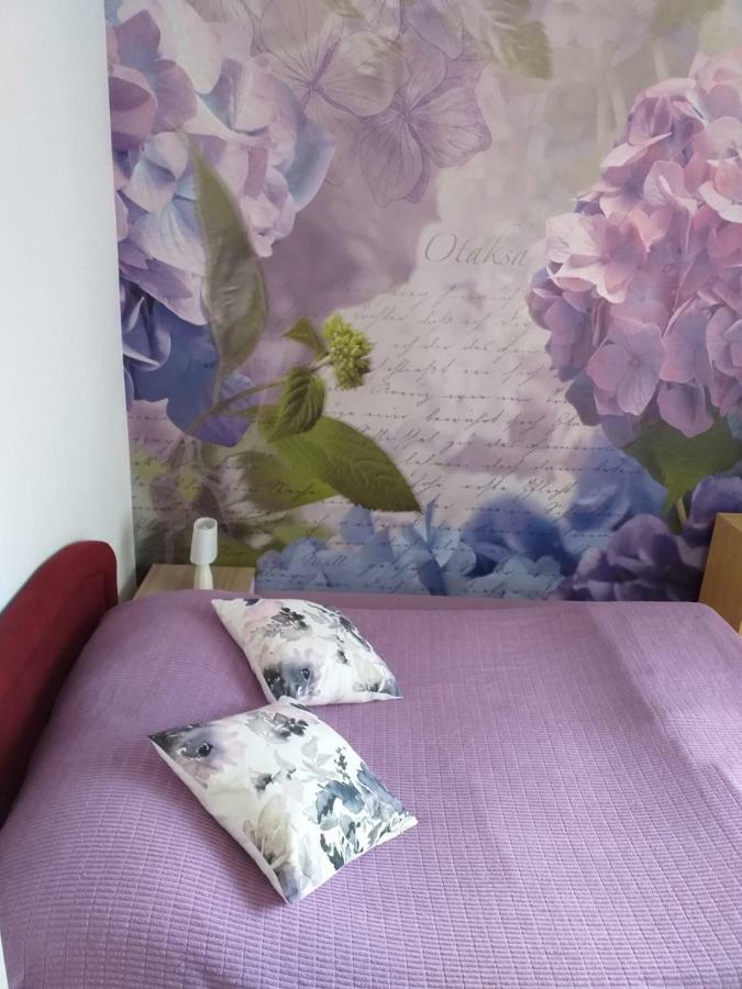 Yelena Rose West Apartment Zadar